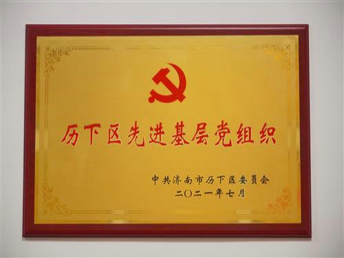 2021年7月，被中共濟(jì)南市歷下區(qū)委員會(huì)評(píng)為“歷下區(qū)先進(jìn)基層黨組織?！?></a>
                                <div   id=